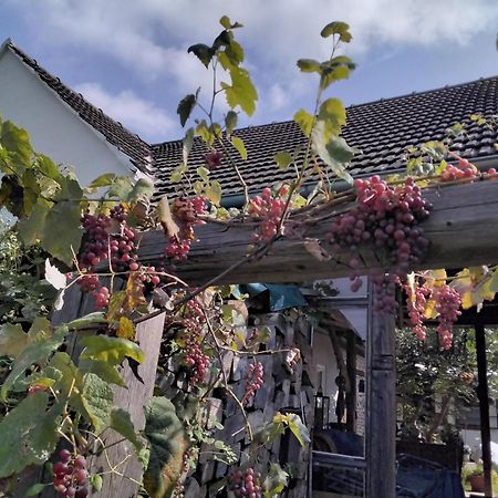 Gemütlichkeit am Vierkanthof 1 Worterberg Exterior foto