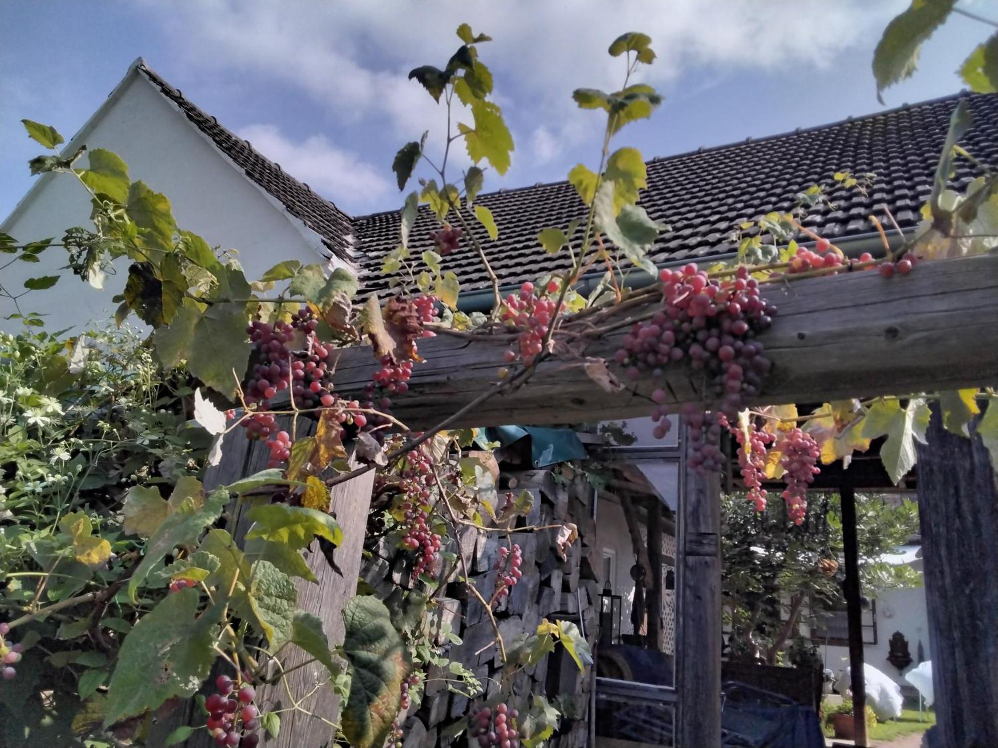 Gemütlichkeit am Vierkanthof 1 Worterberg Exterior foto